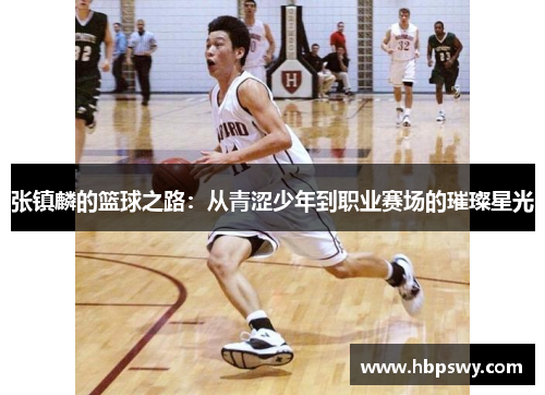 张镇麟的篮球之路：从青涩少年到职业赛场的璀璨星光